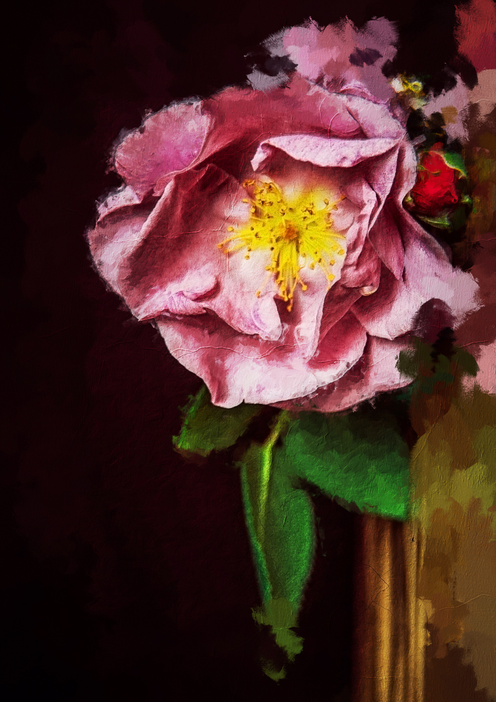 'The Pink Rose of Cairo' by Cristina Schek