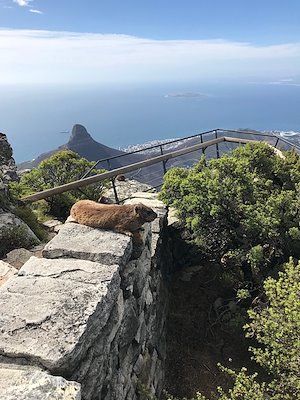 A photo in this story