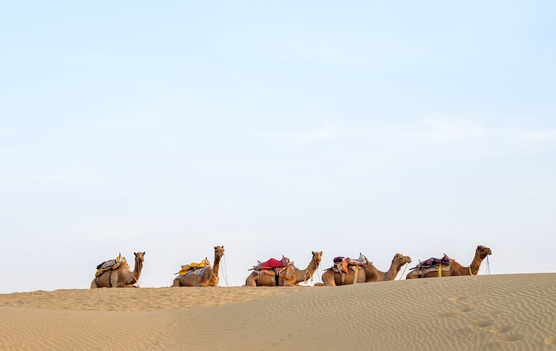 Jaisalmer-21.jpg
