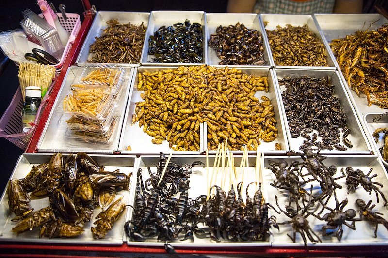 With so many other amazing foods to eat, we never tried any deep fried insects.