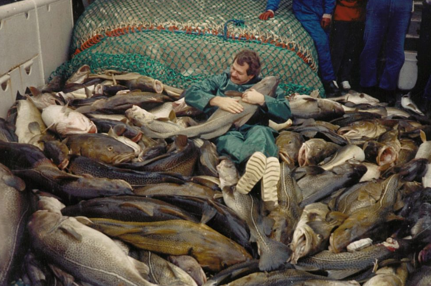 Figure 3. Baltic Sea cod catch and fisheries biologist Eero Kalevi Aro ...
