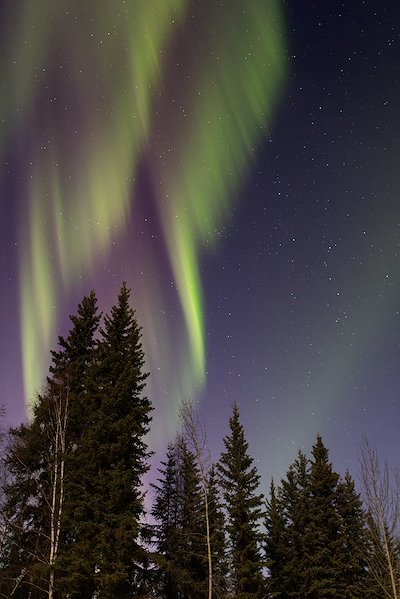 A photo in this story