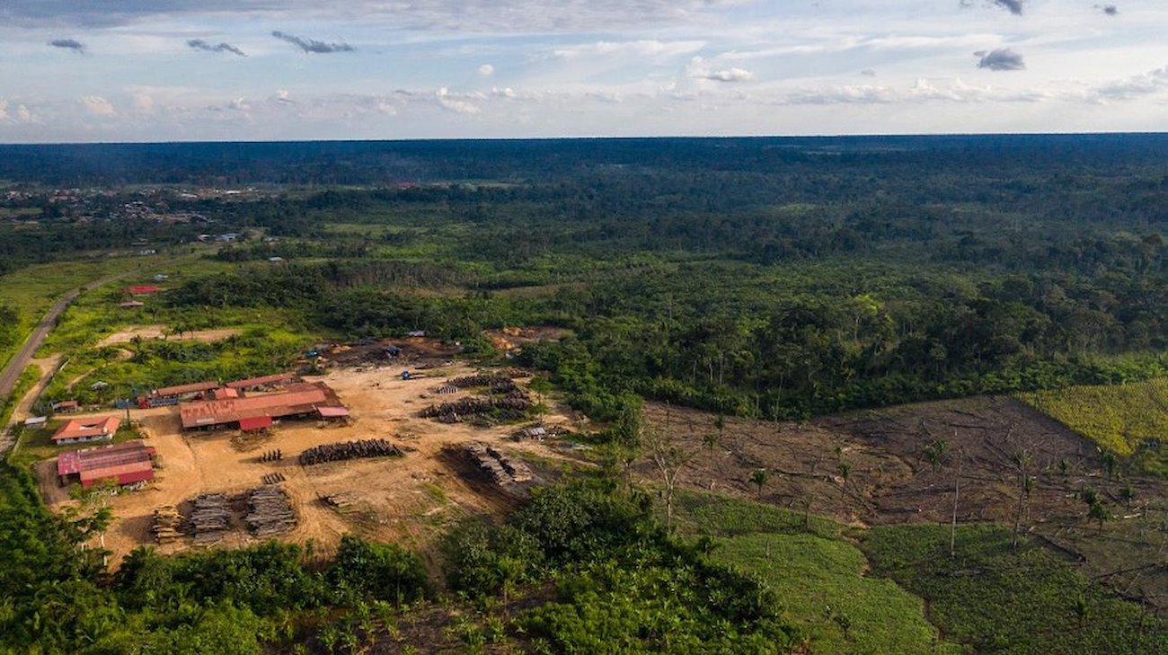 A logging encampment in the Peruvian Amazon. Photo: Alejandro Saldívar