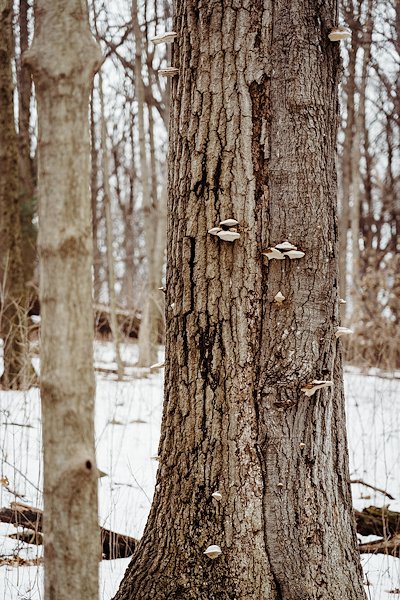 A photo in this story