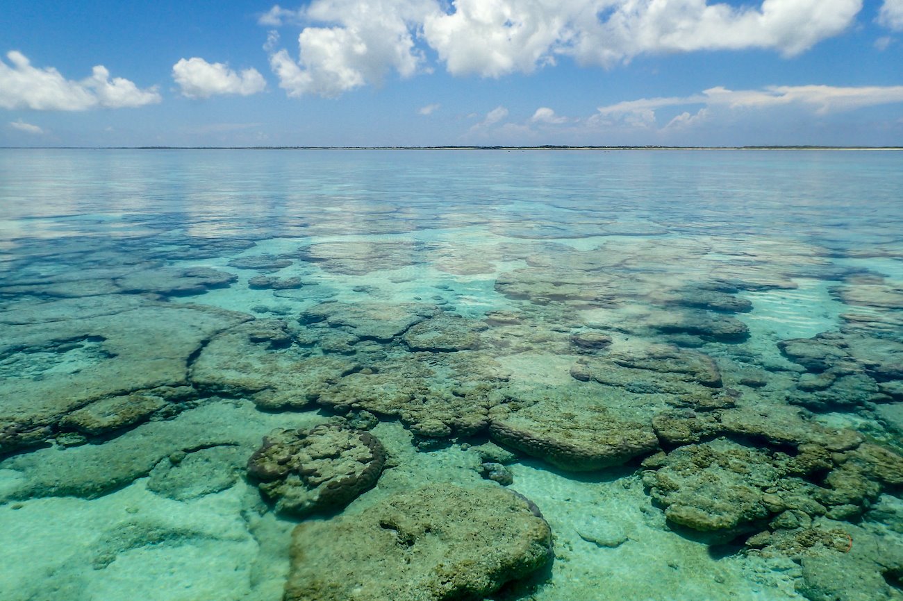 Farquhar atoll. Photo: Joanna Prosper for PCU