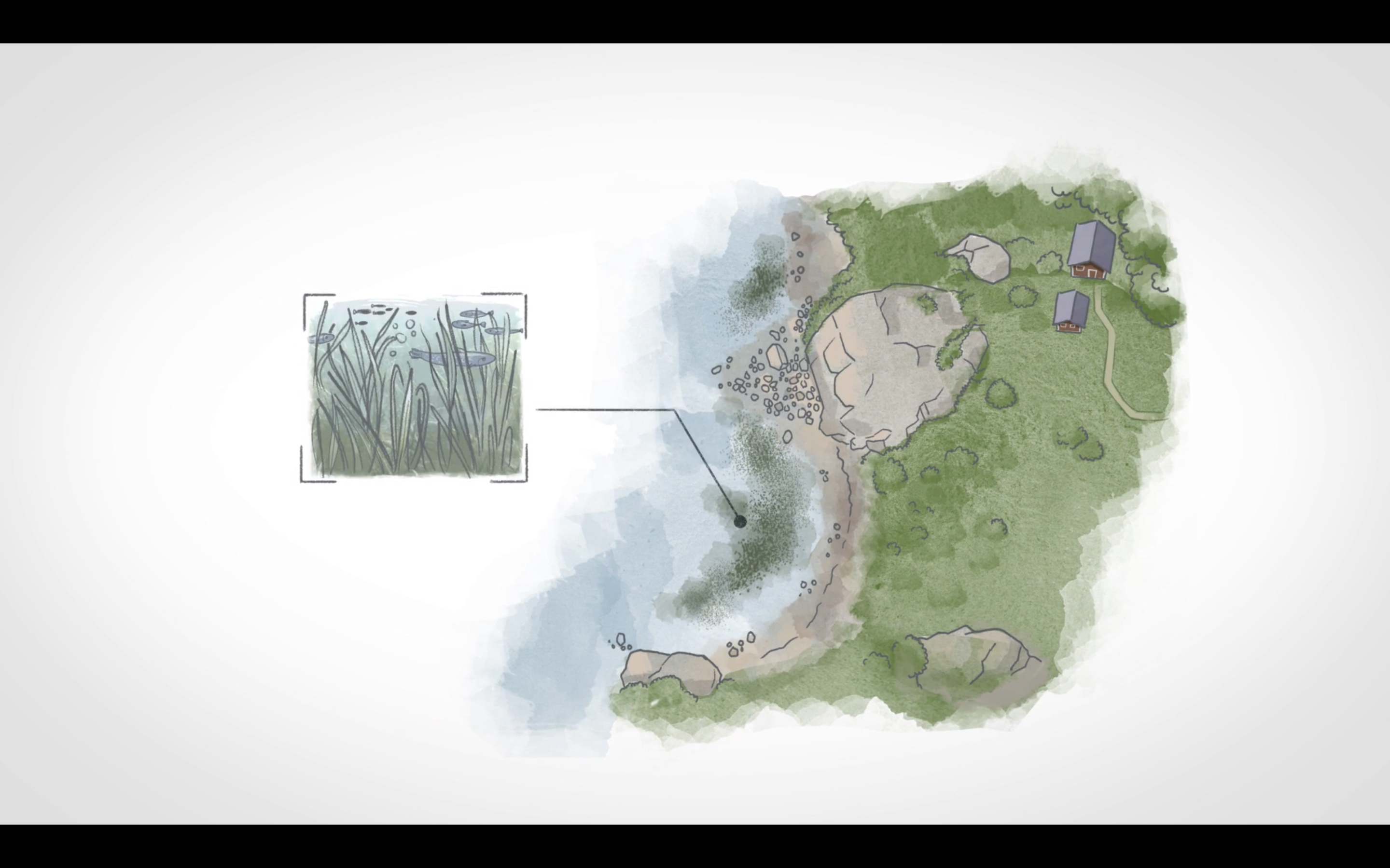 Making of: SeaBee's fully remote animation video