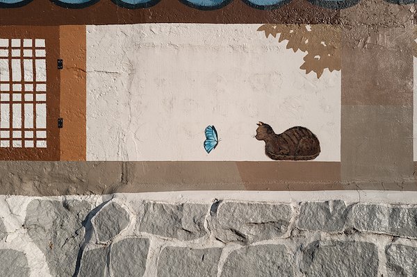 A photo in this story