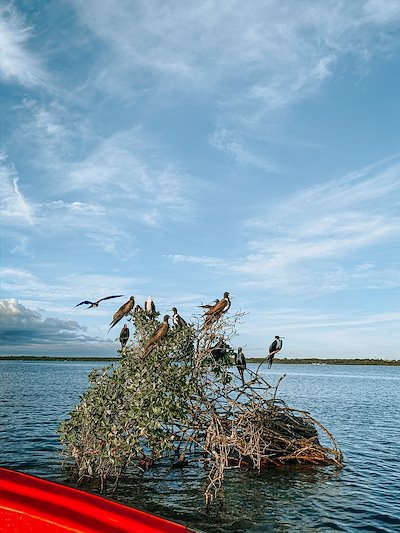 A photo in this story