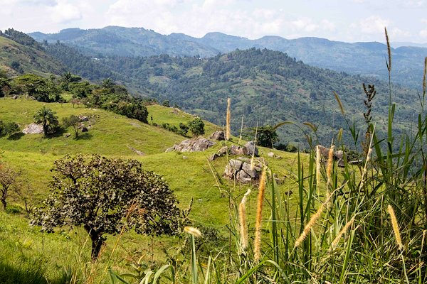 The hills surrounding Kalunguta, North Kivu Province.