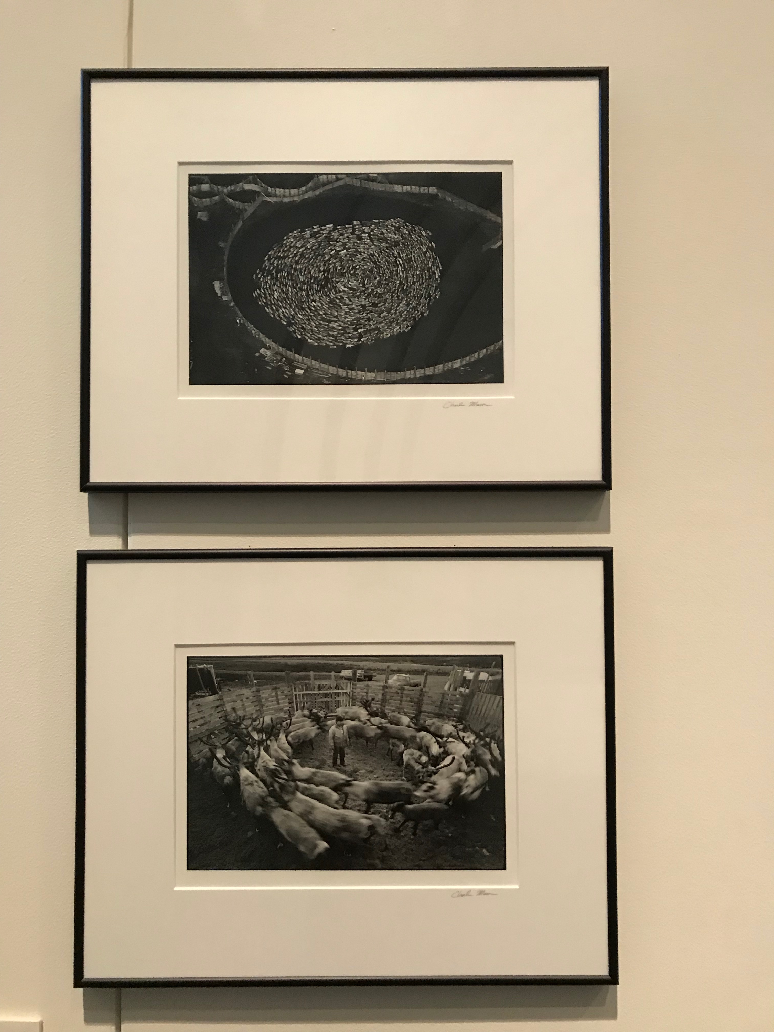 A photo in this story