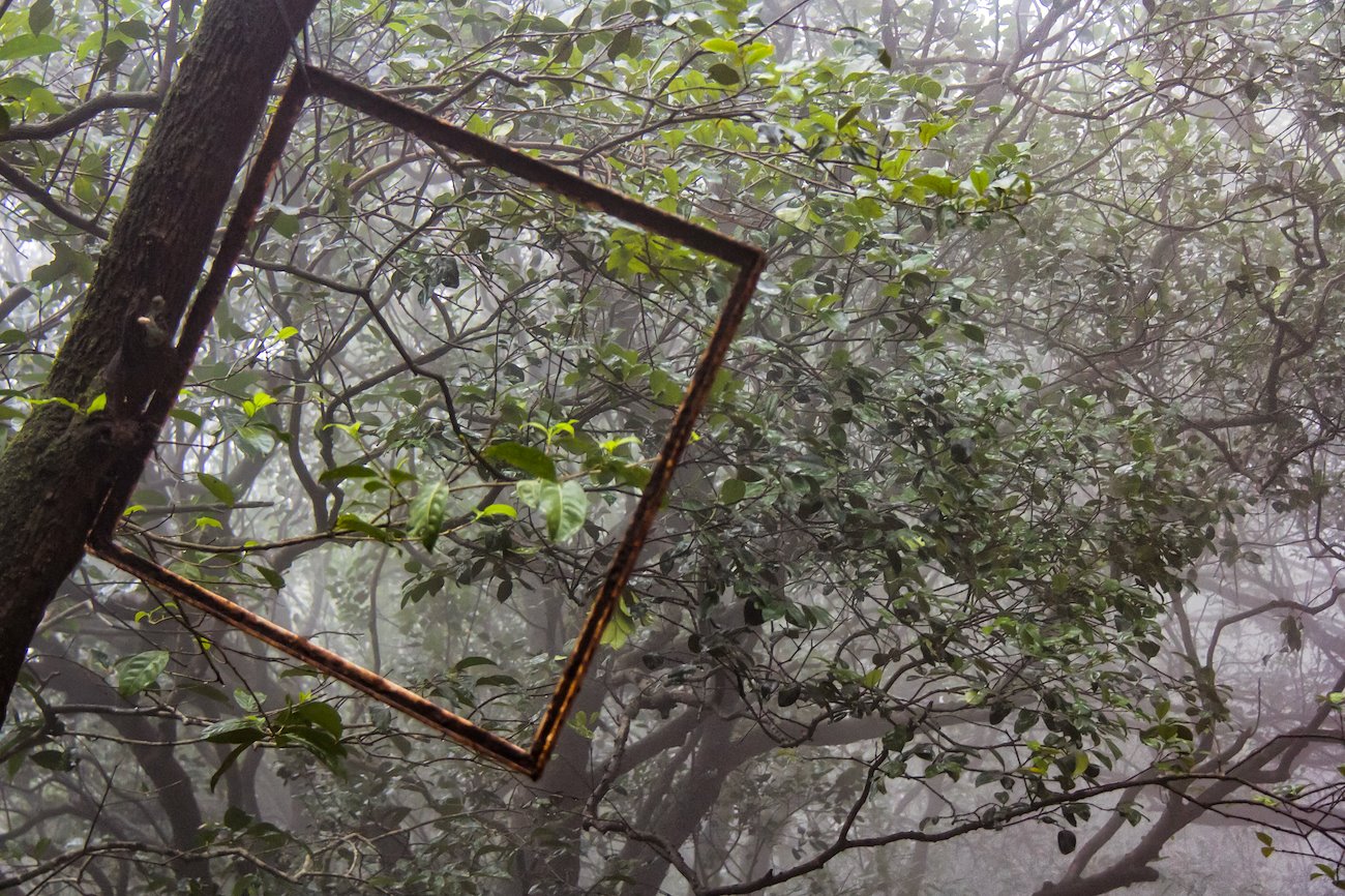 A photo in this story