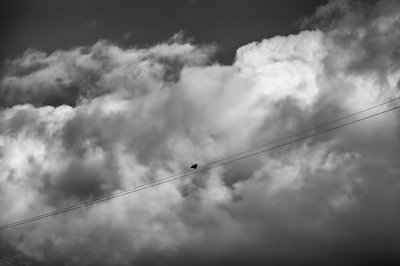 A photo in this story