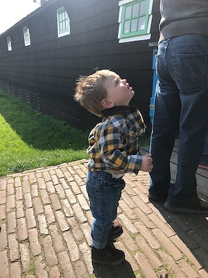 A photo in this story