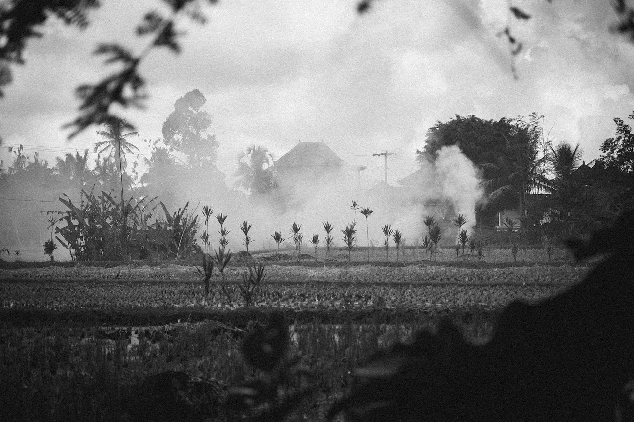 A photo in this story