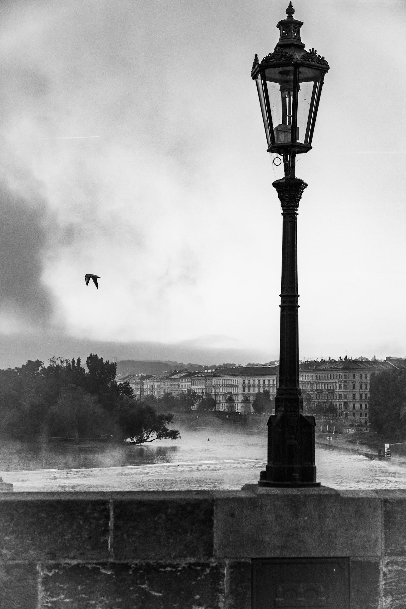 A photo in this story