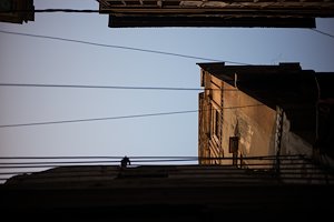 A photo in this story