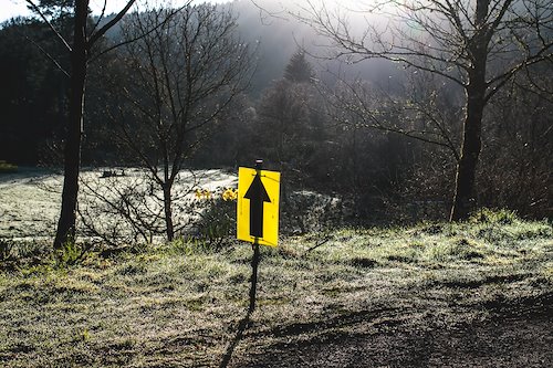 A photo in this story