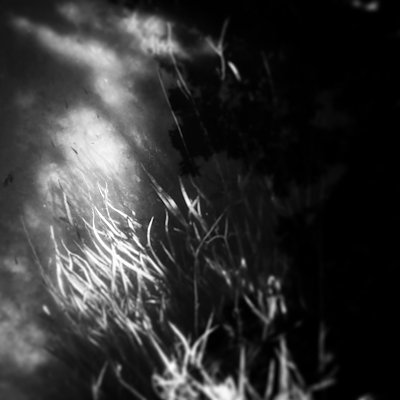 A photo in this story
