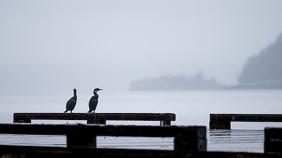 A photo in this story