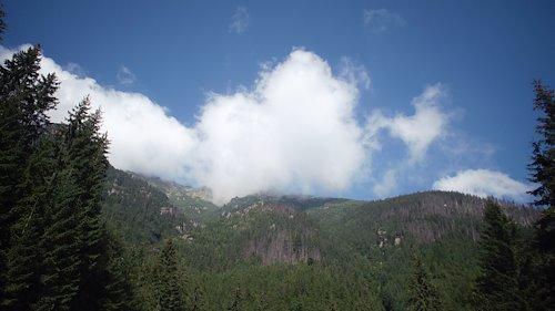 A photo in this story