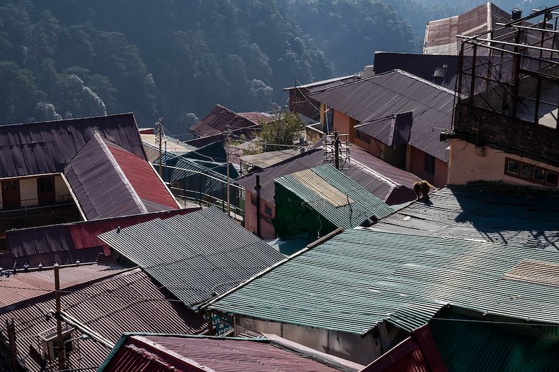 Shimla-66.jpg