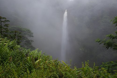 A photo in this story