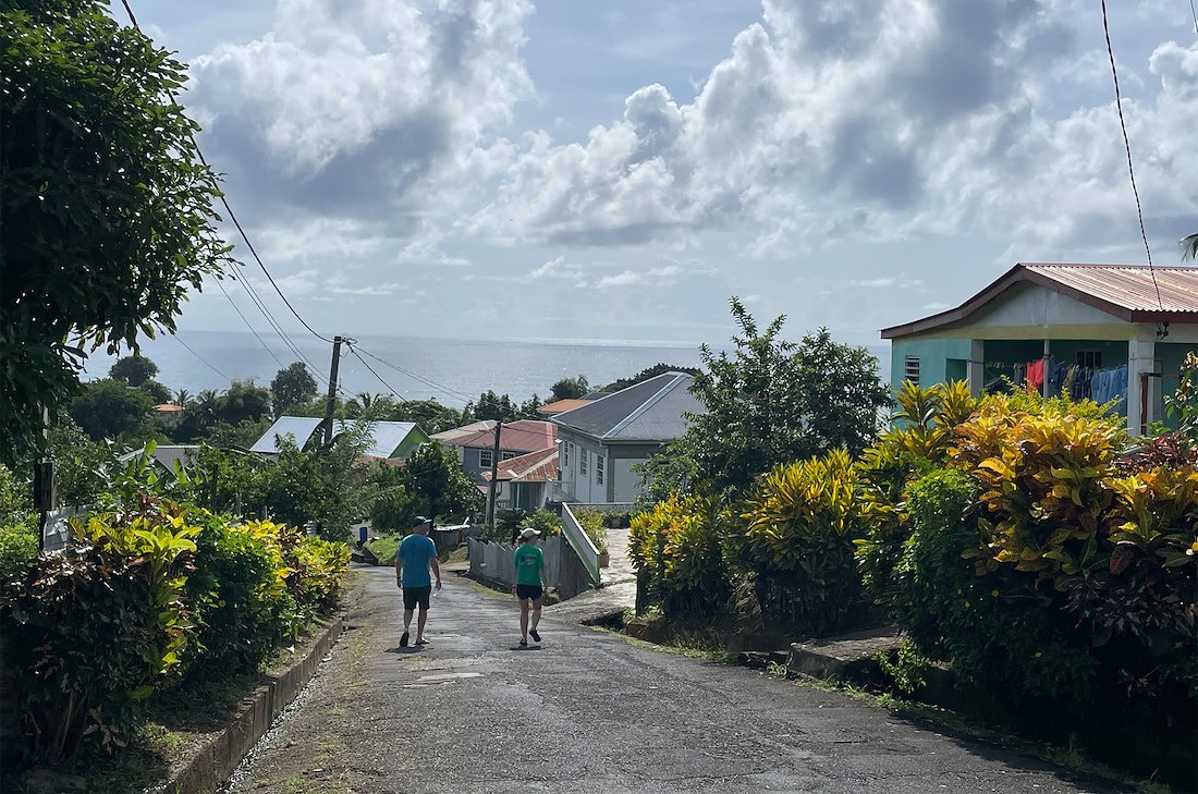 The small community of Castle Bruce.