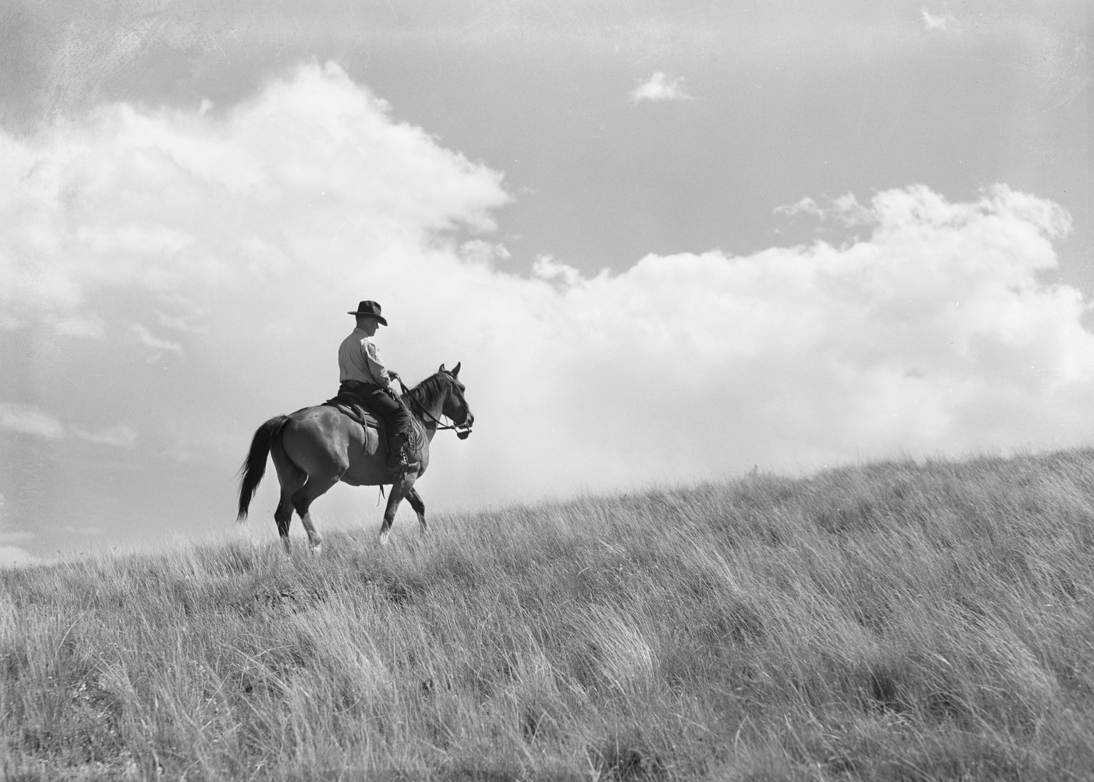 Ranch scene