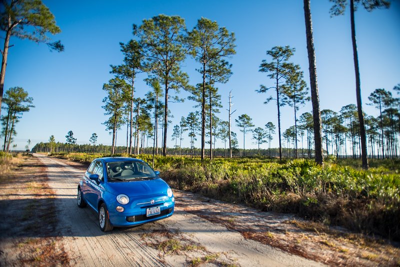 My little hired Fiat is dwarfed by the Okefenokee Swamp