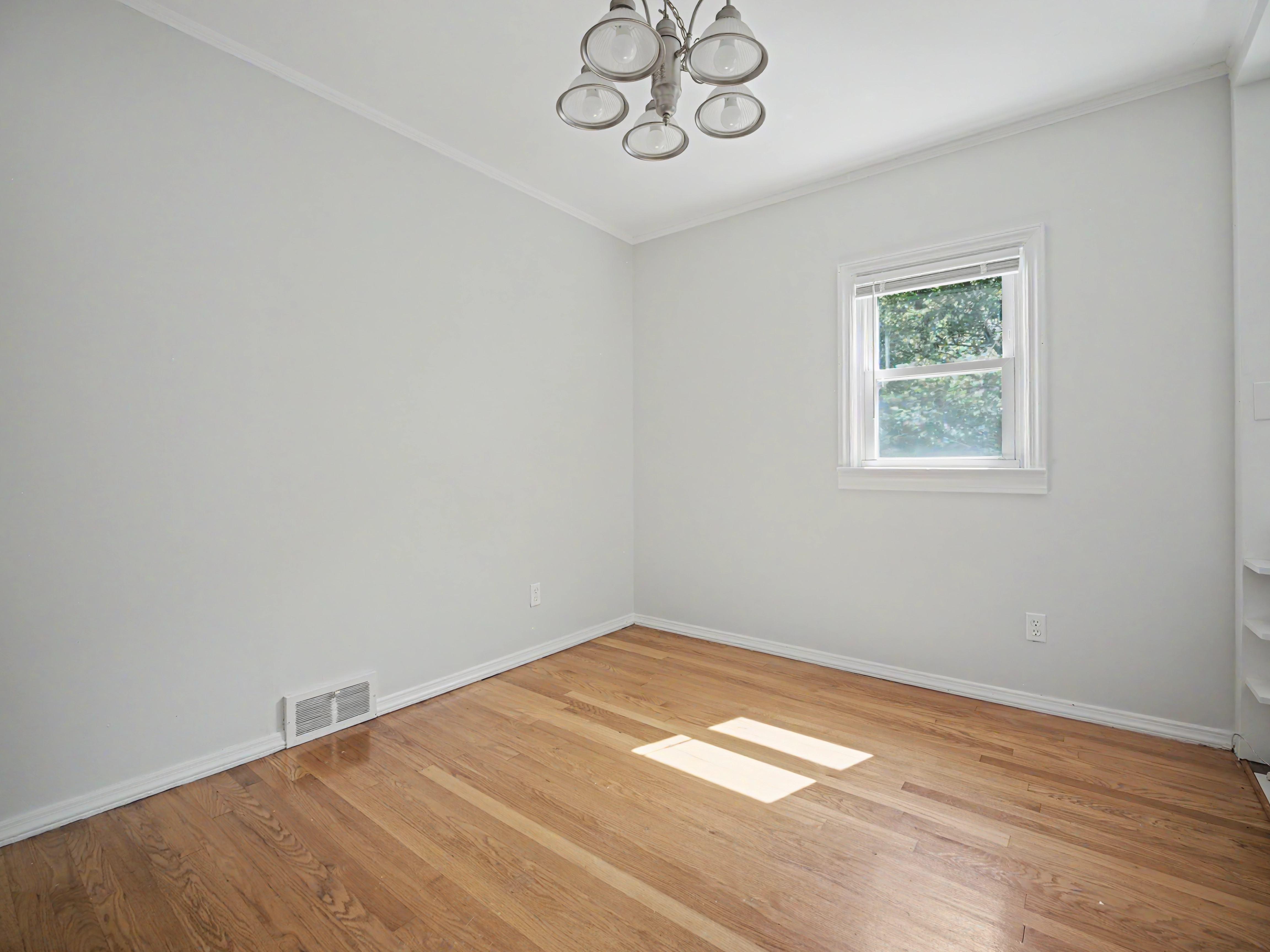 Home in Meriden, Connecticut, photographed by Ari Lee