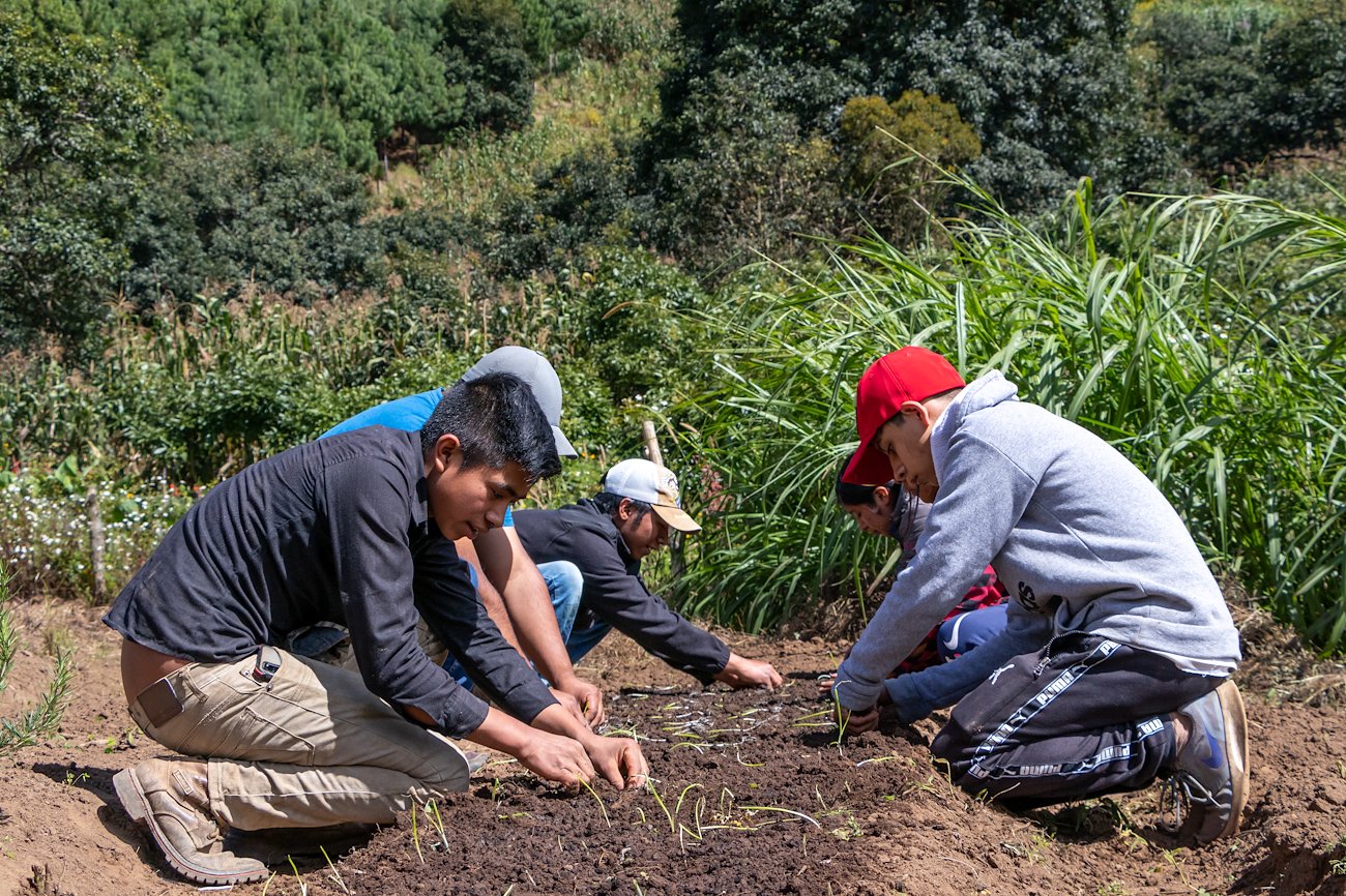 Youth working in the native plant garden. Photo: Dimas Salcaxot/SGP Guatemala/UNDP Guatemala