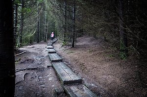 A photo in this story