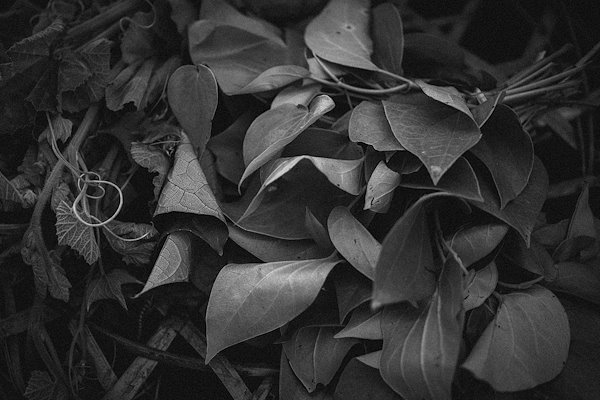 A photo in this story