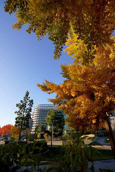 Fall colors on campus.