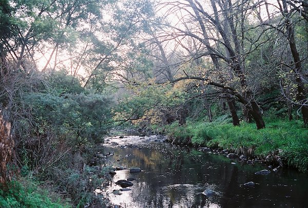 A photo in this story