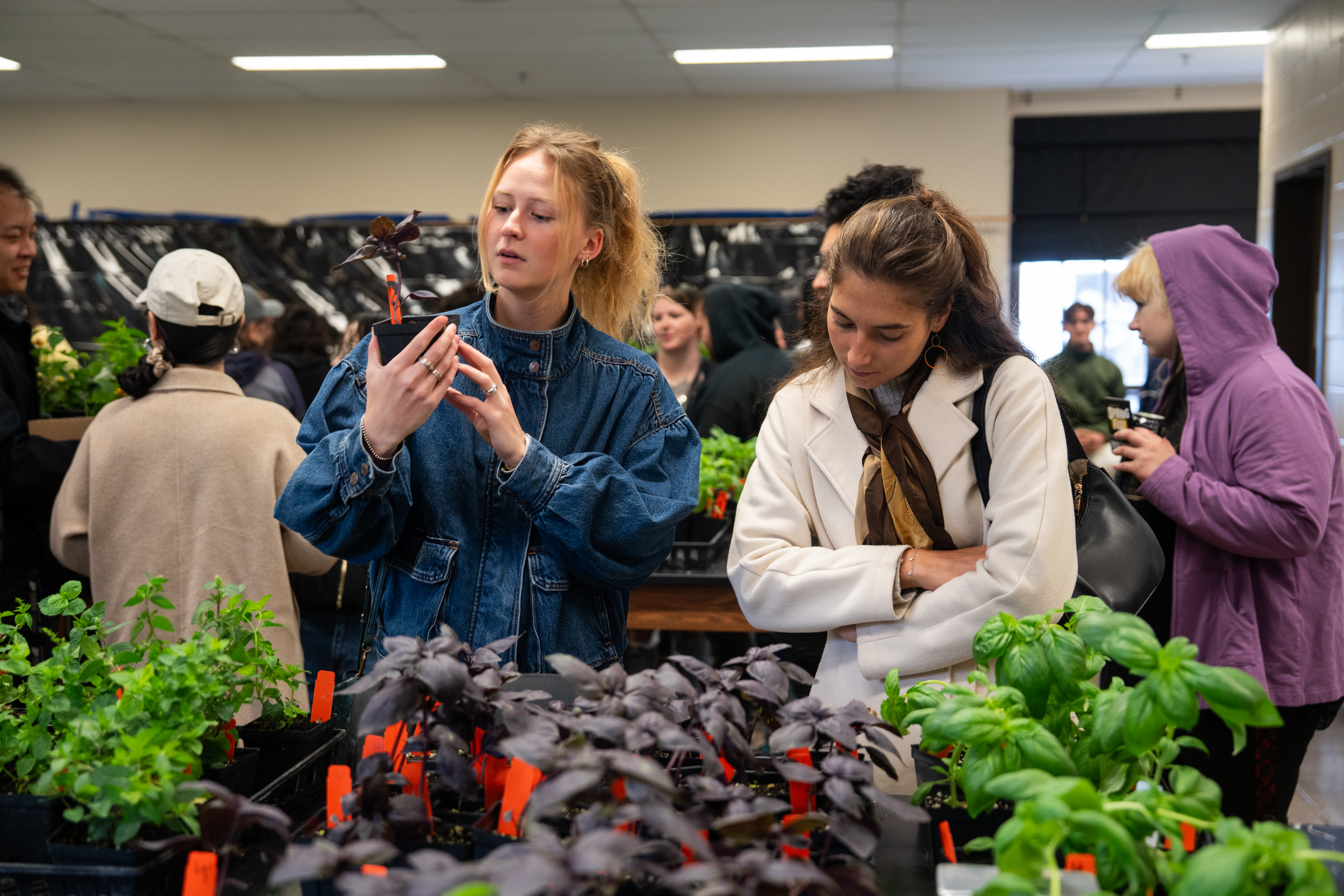People browse potted herbs at Purdue University's Spring Fest in West ...