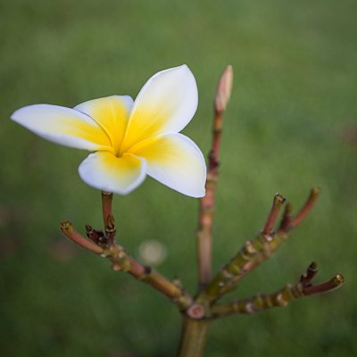 A photo in this story