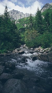 A photo in this story