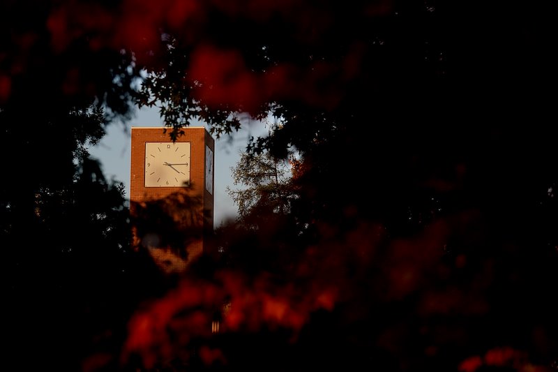 A view of the clock tower between leaves.