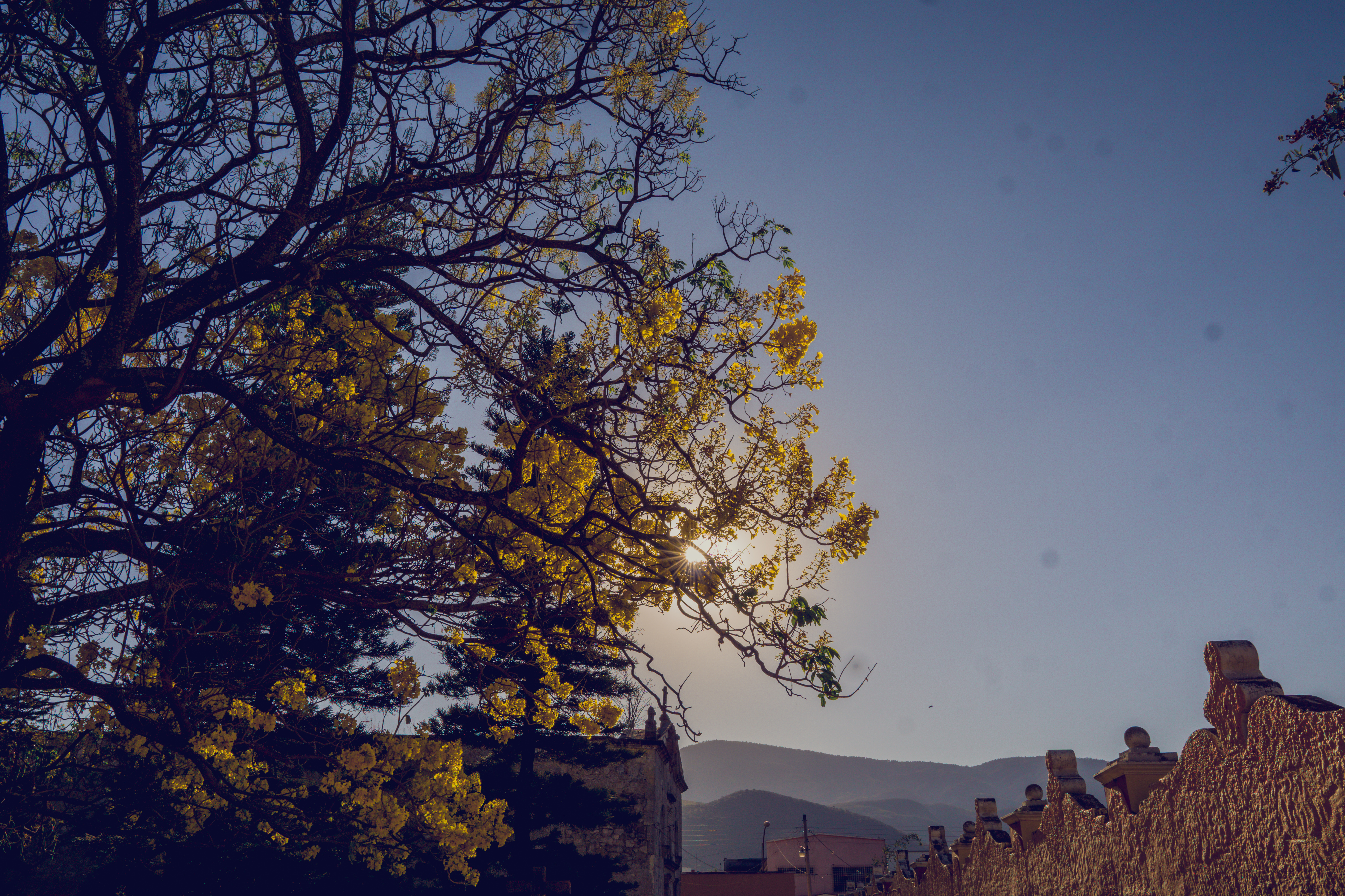 A photo in this story