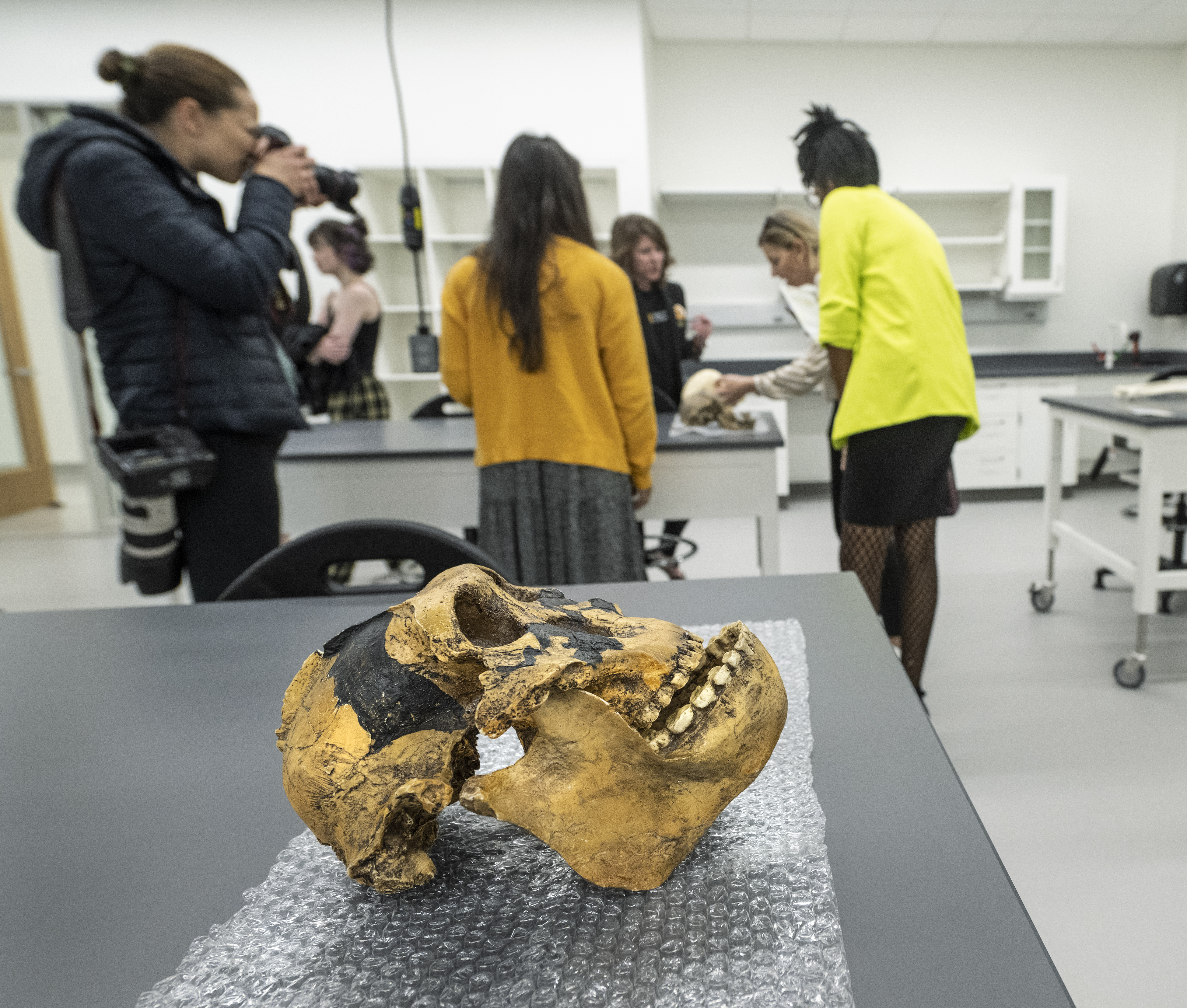 A replica primate skull sits in the foreground with VCU faculty members ...