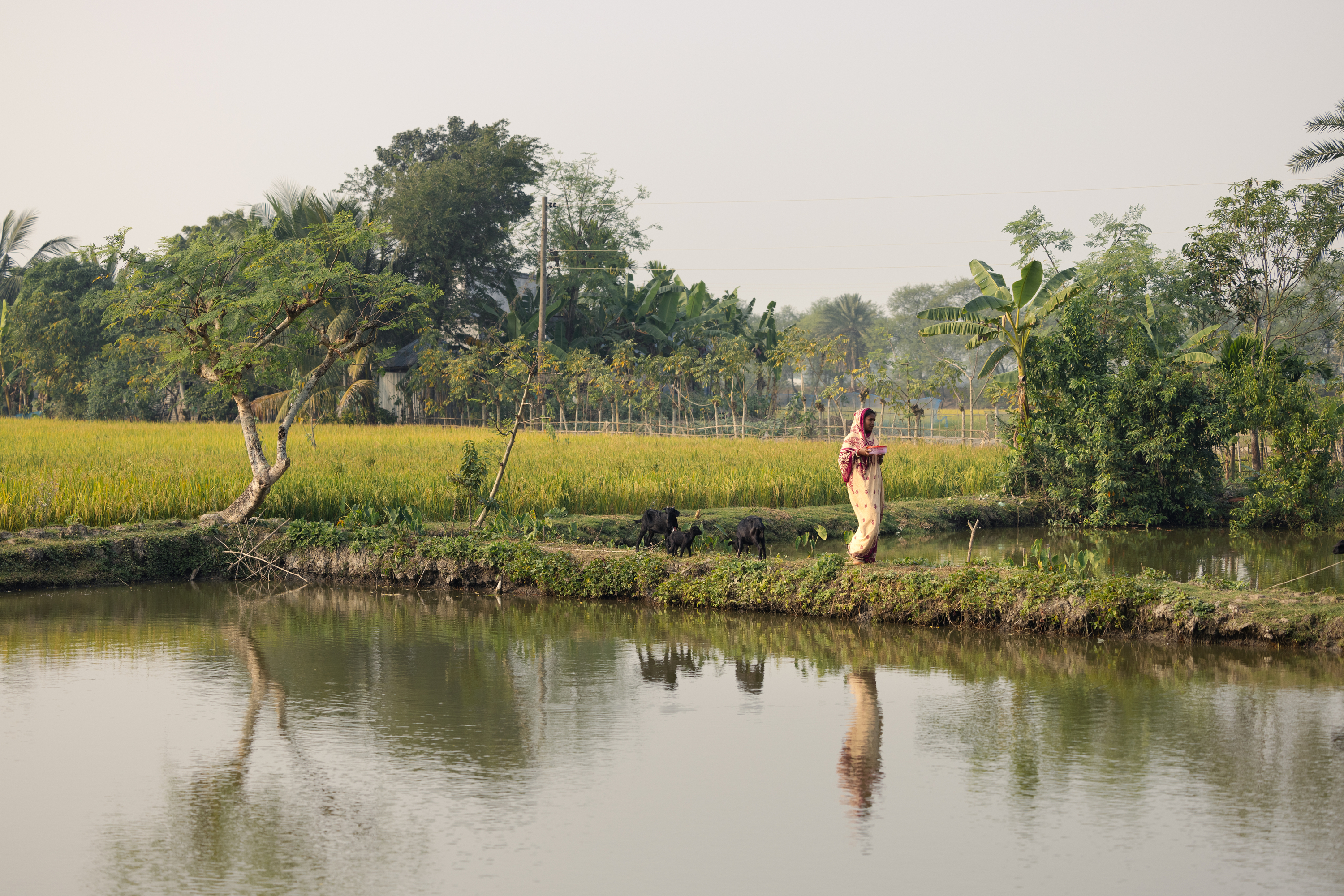Champa and Rekha: Fighting Tuberculosis Through Fear and Floods in ...