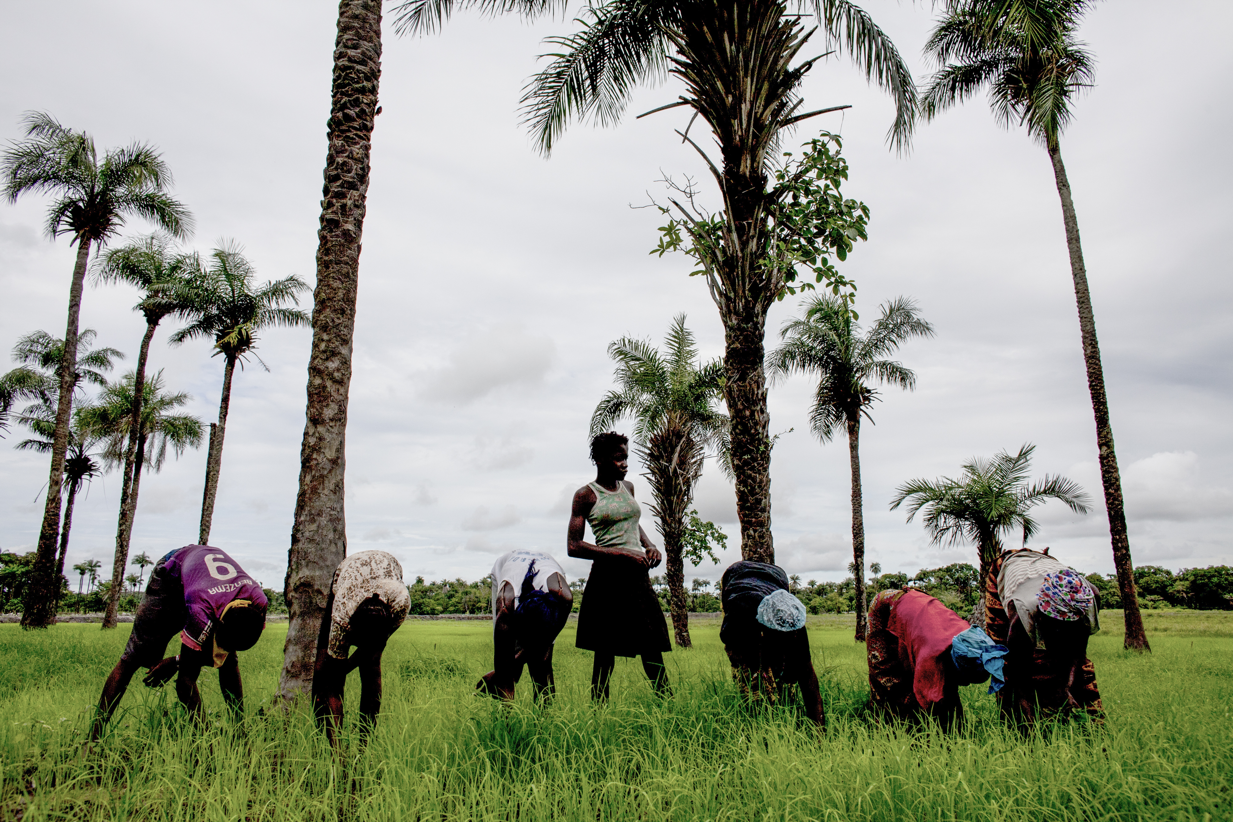 Women at work in once abandoned rice fields made viable again by climate adaptation measures. © Jane Hahn / ActionAid