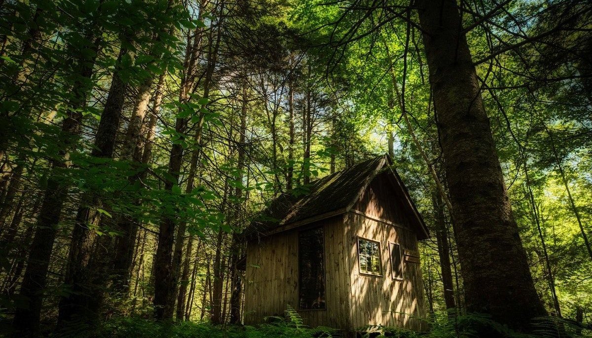 Read The Spooky Cabin by Numeric Citizen