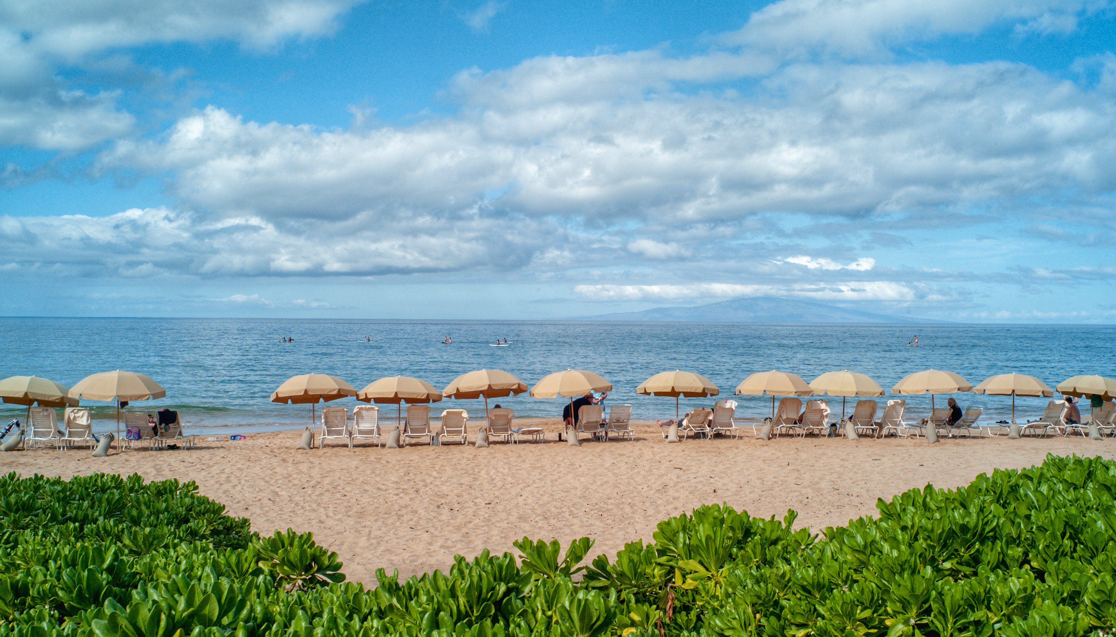Read Moments in Maui by Marcus Lloyd