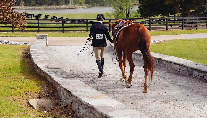 Read Mississippi College Equestrian by William Patrick Butler