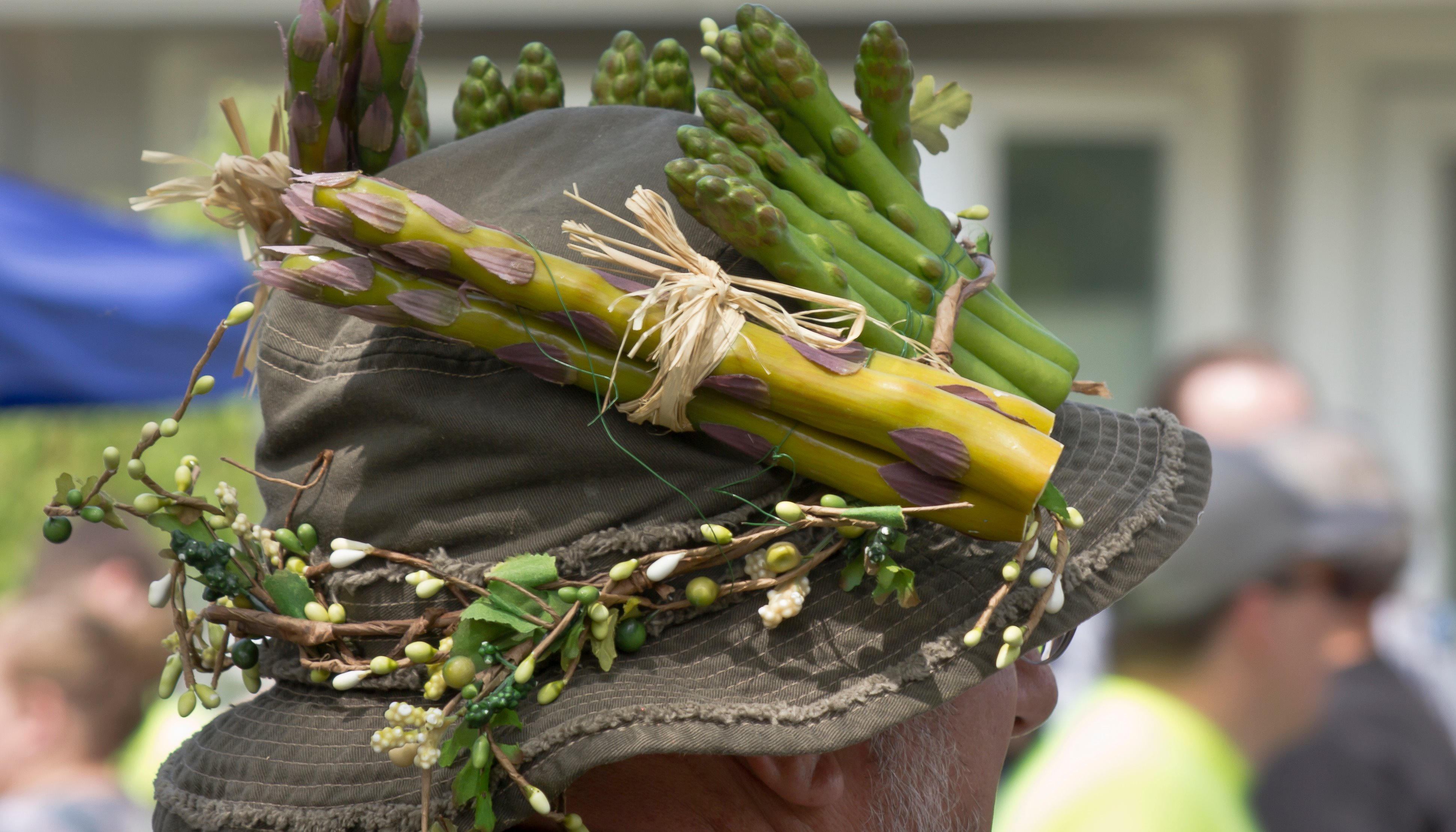 Read Empire Asparagus Festival by Rodney Martin