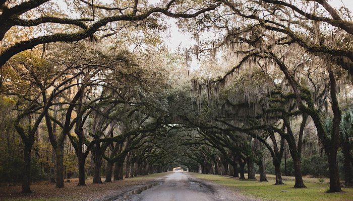 Read The South by Get Lost With Us