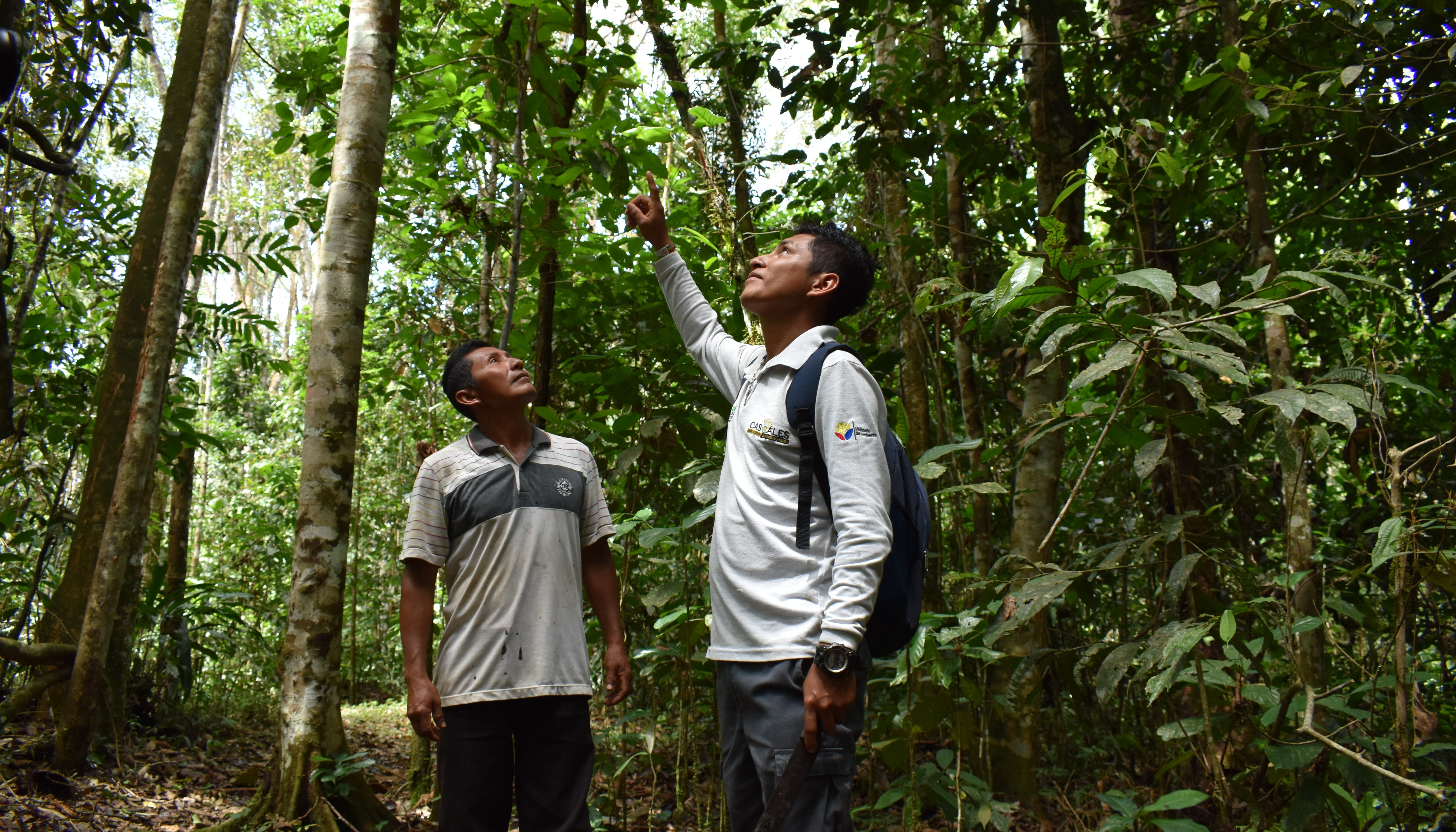 Read 10 countries making progress on climate action in 2022 by Climate UNDP