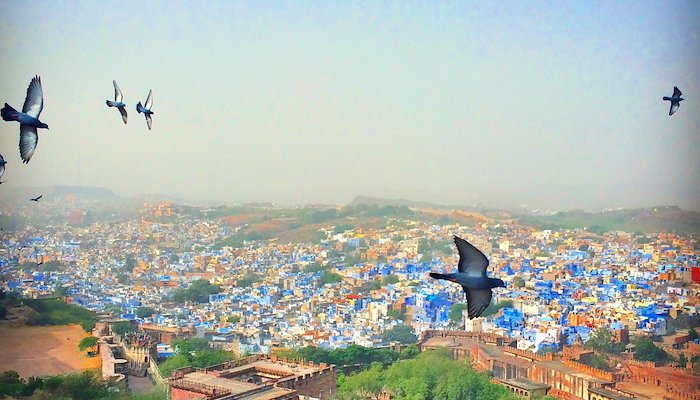 Read Delhi & Jodhpur by Lauren & Dave